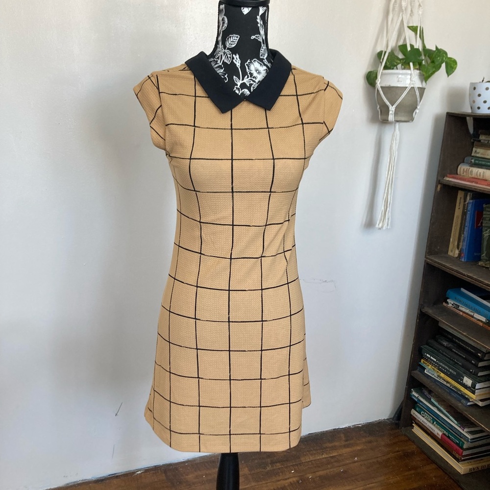 Collared mod dress